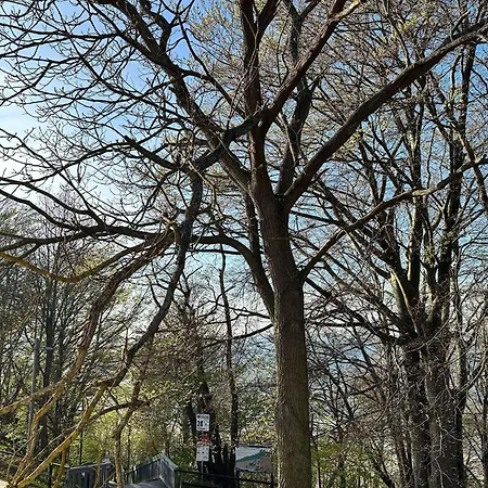 Station touristique Osrodek Promenada - Grzybek Jastrzębia Góra