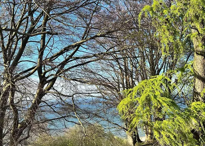 Osrodek Promenada - Grzybek * Jastrzębia Góra