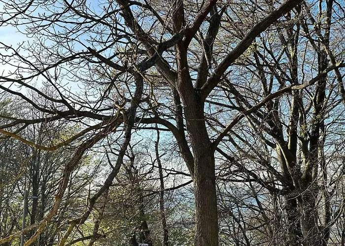 Resort Osrodek Promenada - Grzybek Jastrzębia Góra